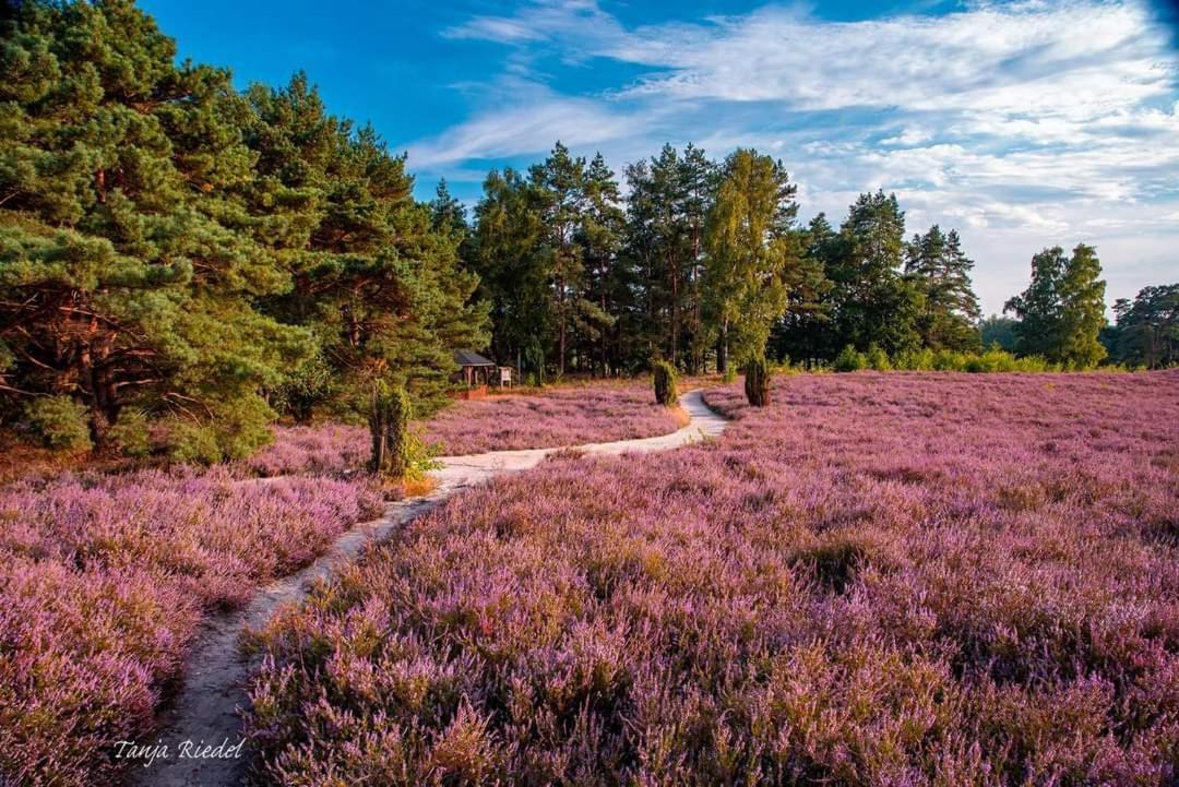 Seeliebe, 300 Meter Zum Wasser, Mit Terrasse Und Garten Lembruch Exterior foto